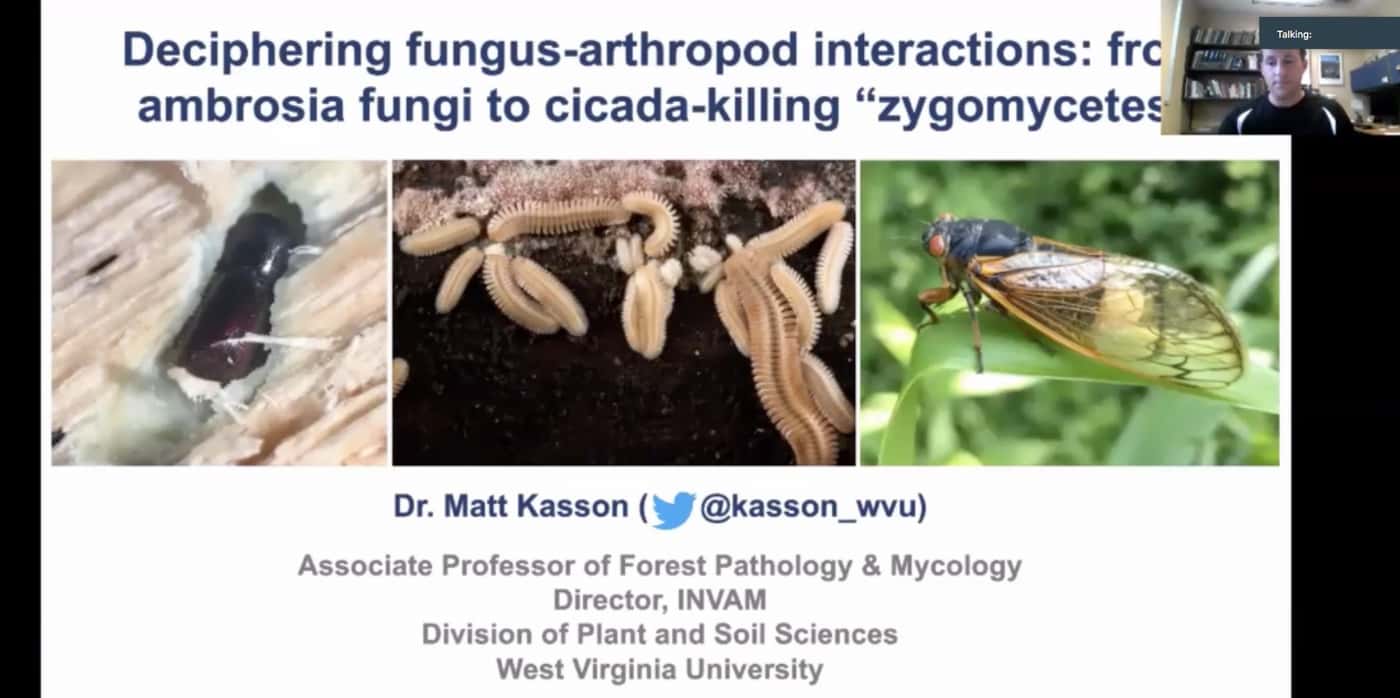 Dr Matthew Kasson presents the second FABI International Seminar