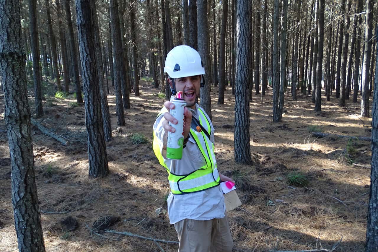 Fieldwork during a pandemic