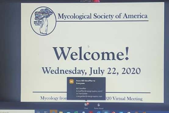 FABI mycologists participate in the annual MSA meeting: Mycology in the cloud