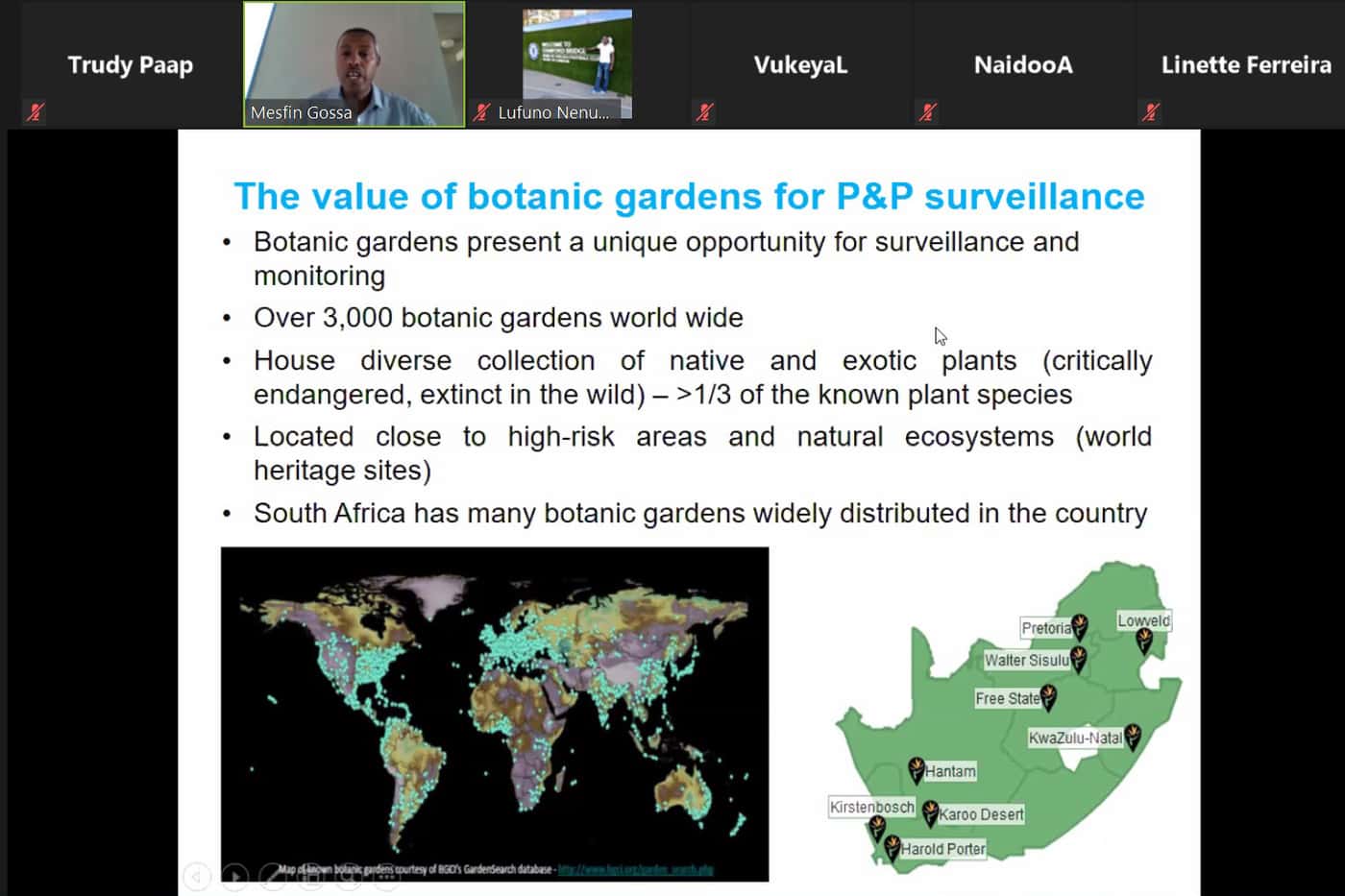 A webinar on Plant Health in Botanical Gardens amid the COVID-19 pandemic