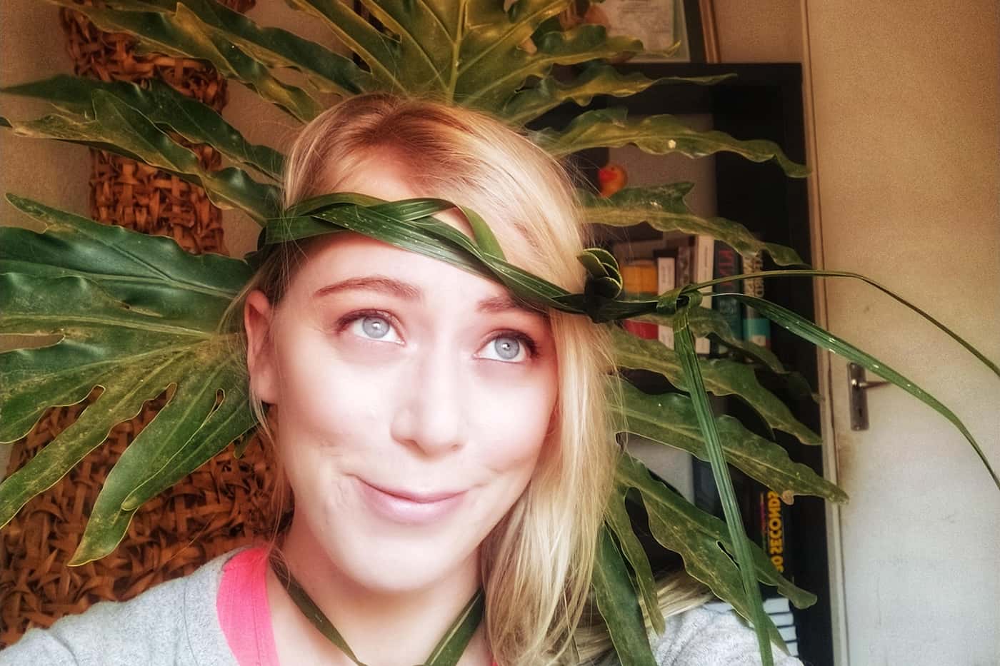 Phyloge-knows-it crowned “brains” of FABI at first virtual quiz night