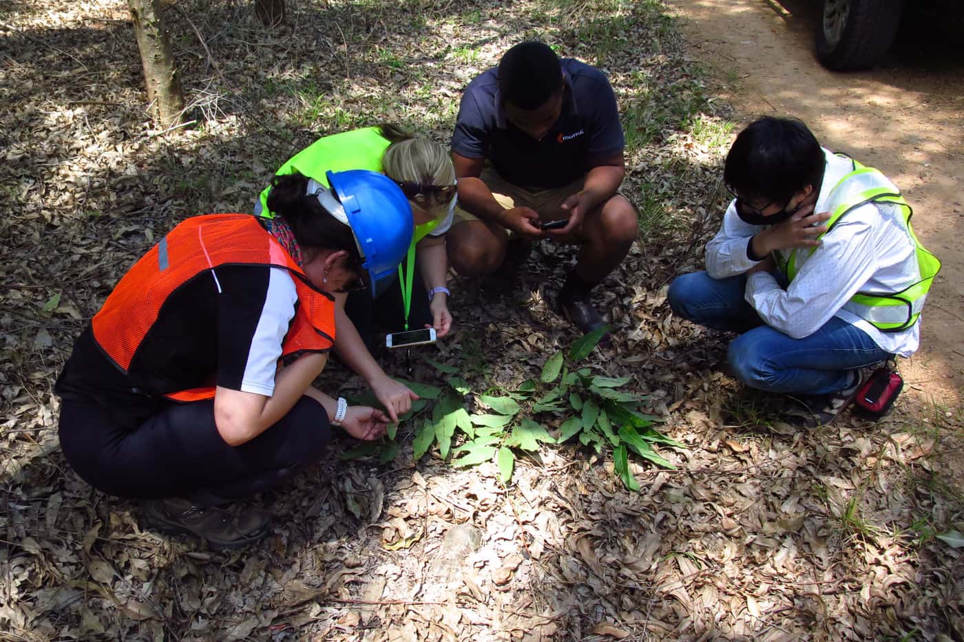 TPCP team members visit plantations on the KZN coast