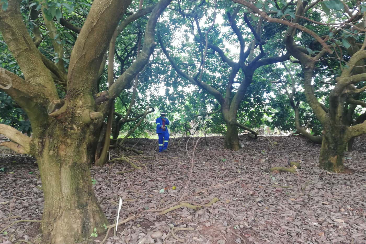 ARP team members visit Tzaneen