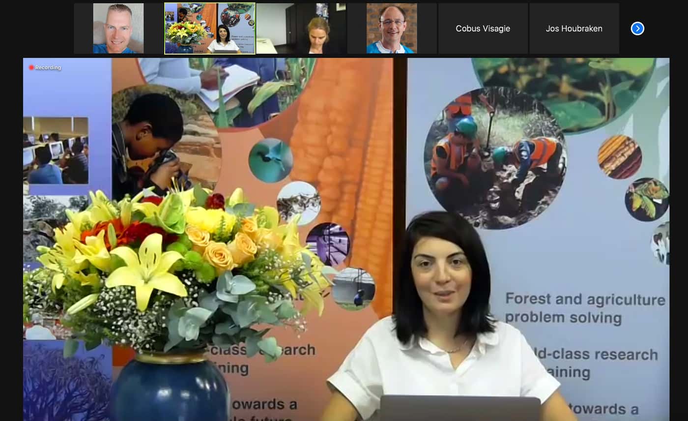 FABI’s International Seminar Series resumes focussing on the impact mycotoxins on human health