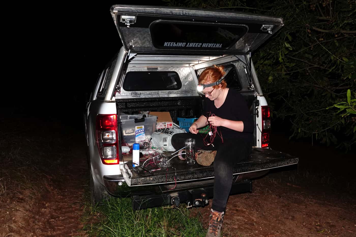 Macadamia research program’s field visit to Mpumalanga