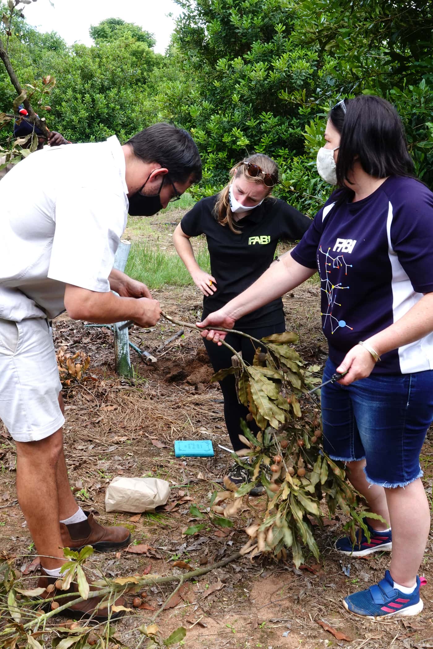 Macadamia research program’s field visit to Mpumalanga