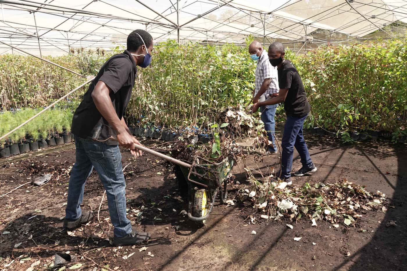 Many hands make light work at the TPCP tree planting