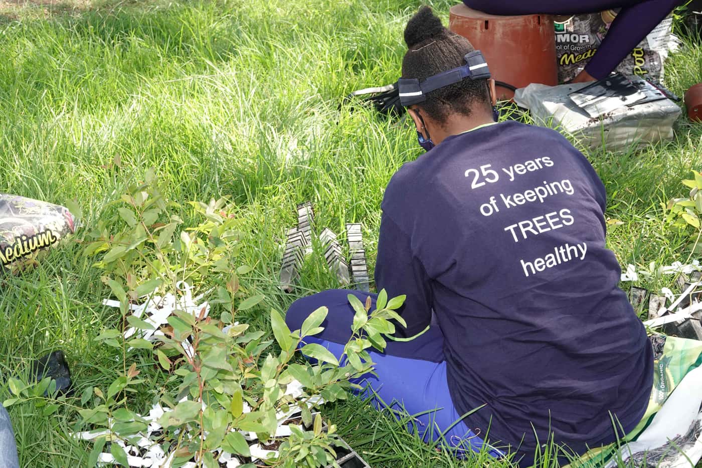 Many hands make light work at the TPCP tree planting