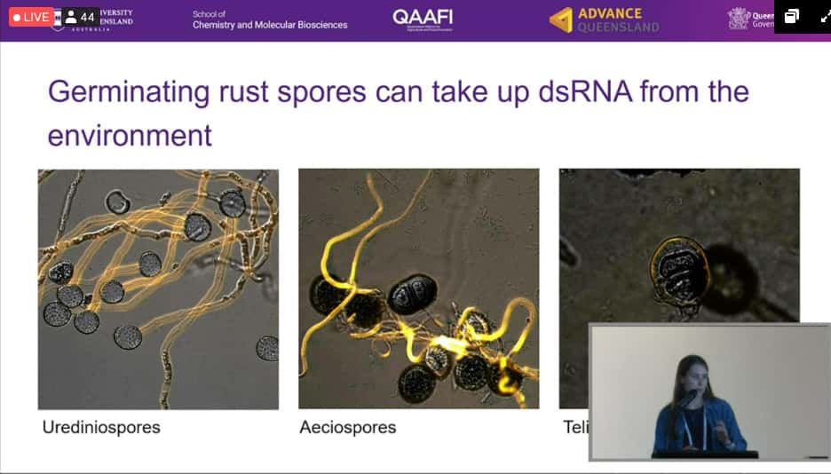 Mike Wingfield participates in the Australian Myrtle Rust Symposium