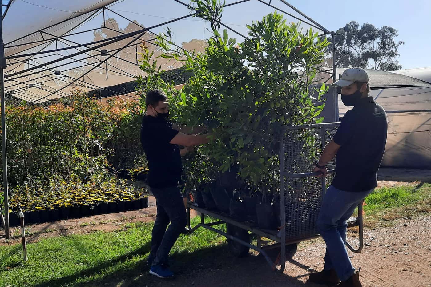 Tree planting day for the Mad Macs team