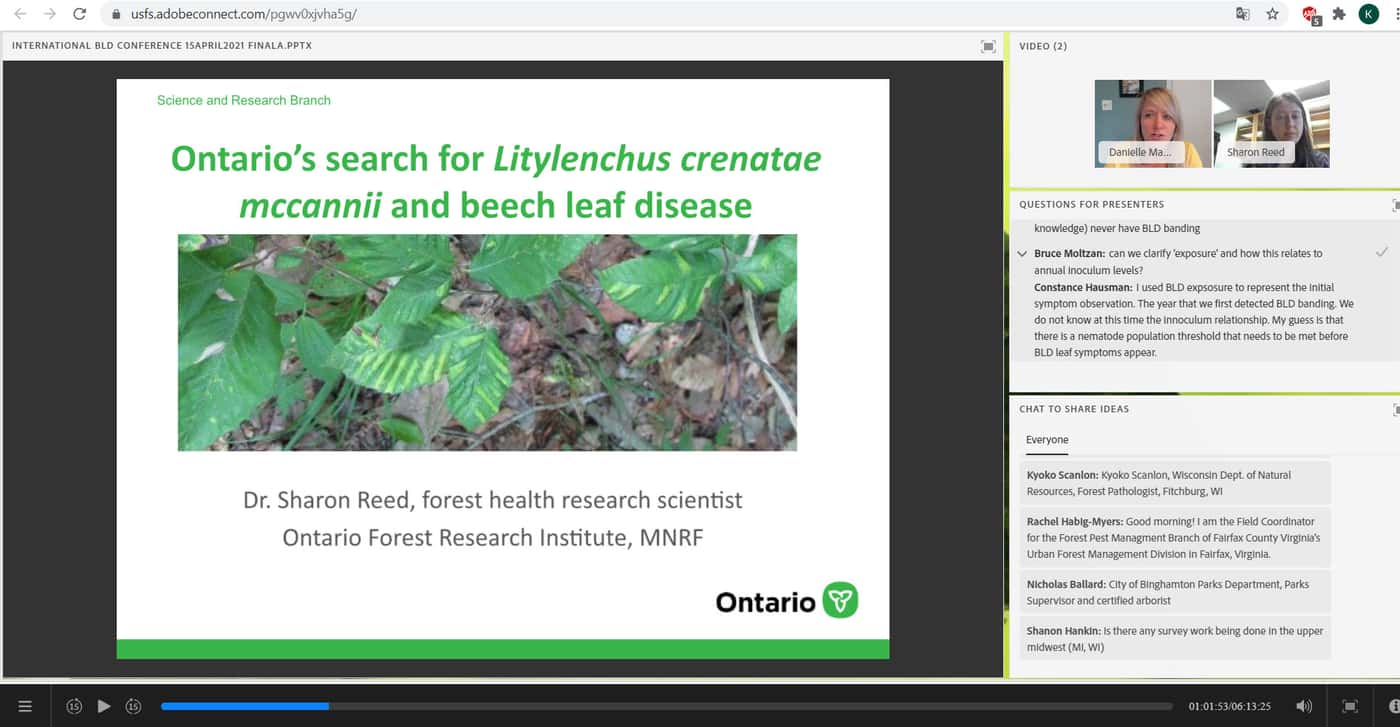 Contributing to the USDA Beech Leaf Disease Workshop