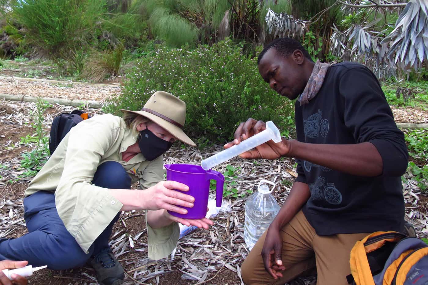 FABI team considers research progress on Phytophthora die-back of Silver trees in Kirstenbosch