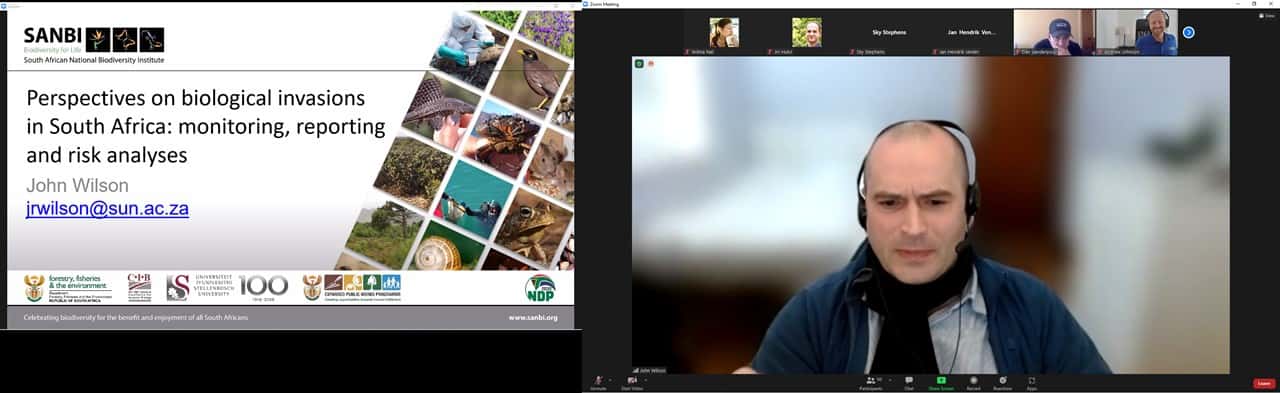 Twelfth Online meeting of the bark beetle mycobiome International Research Coordination Network