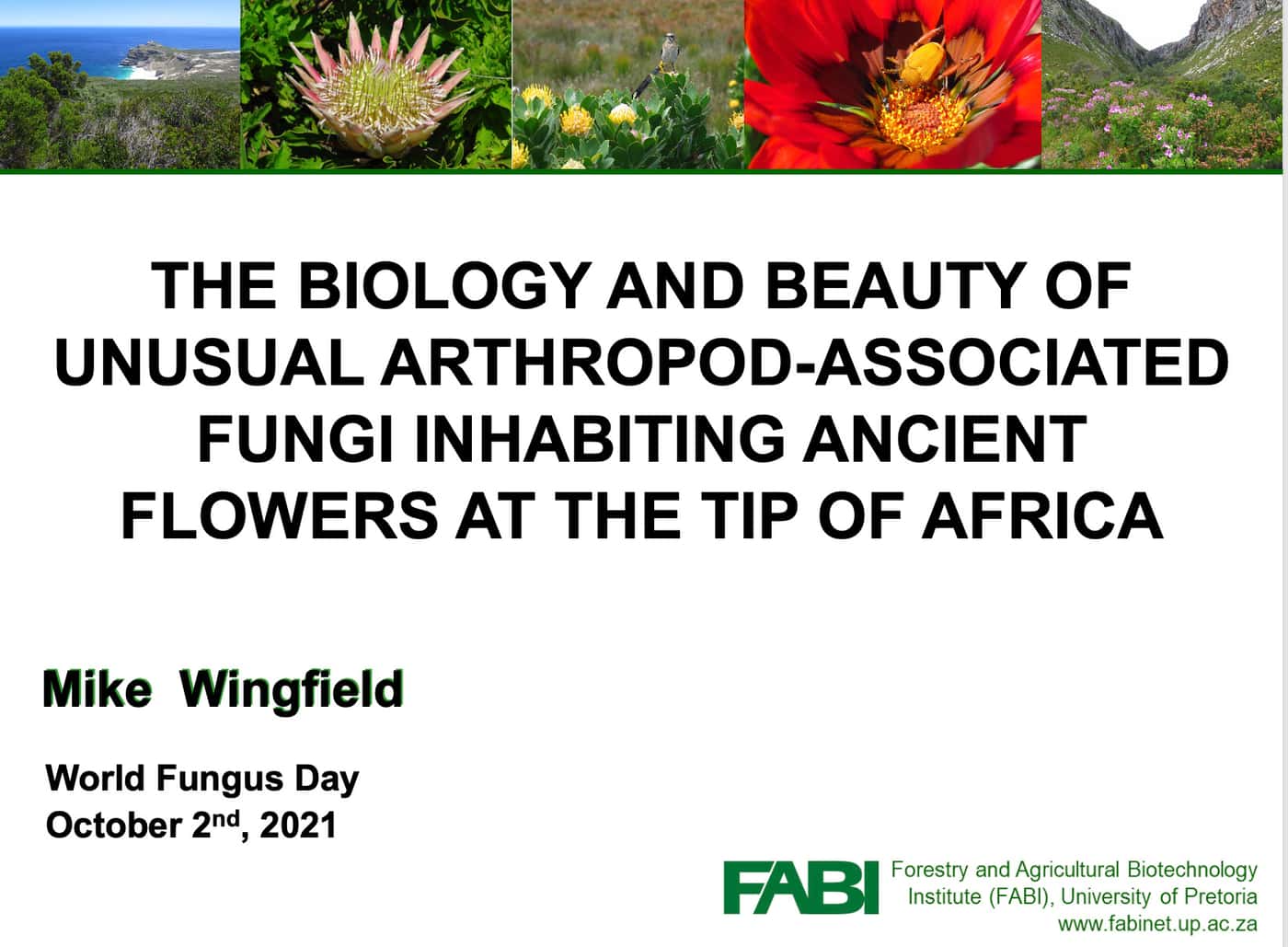 FABI celebrates World Fungi Day