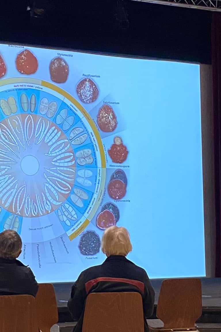Cobus Visagie presents at DGFM Centennial symposium