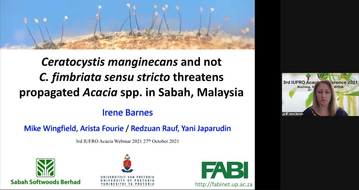 FABI researchers make an early start to present at the 3rd IUFRO <i>Acacia</i> webinar