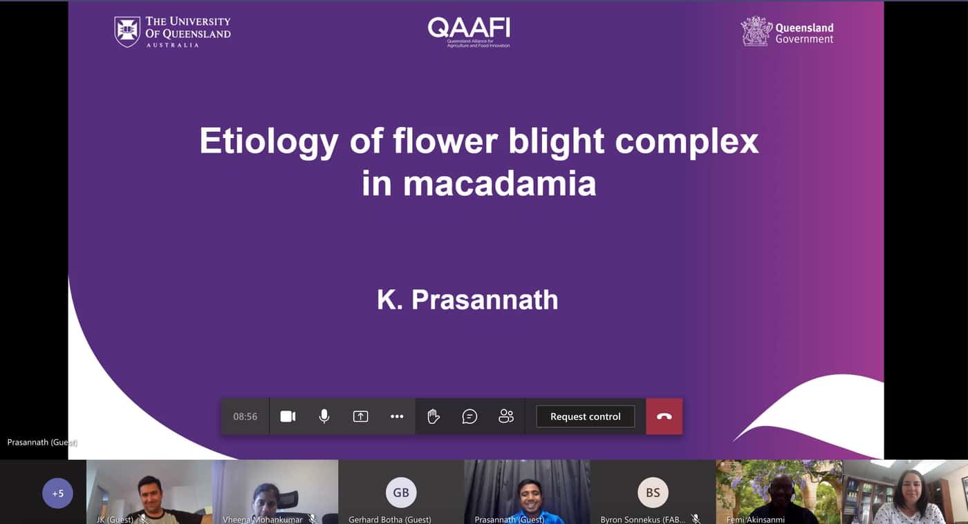 Researchers from FABI and UQ strengthen collaboration with regular online meetings