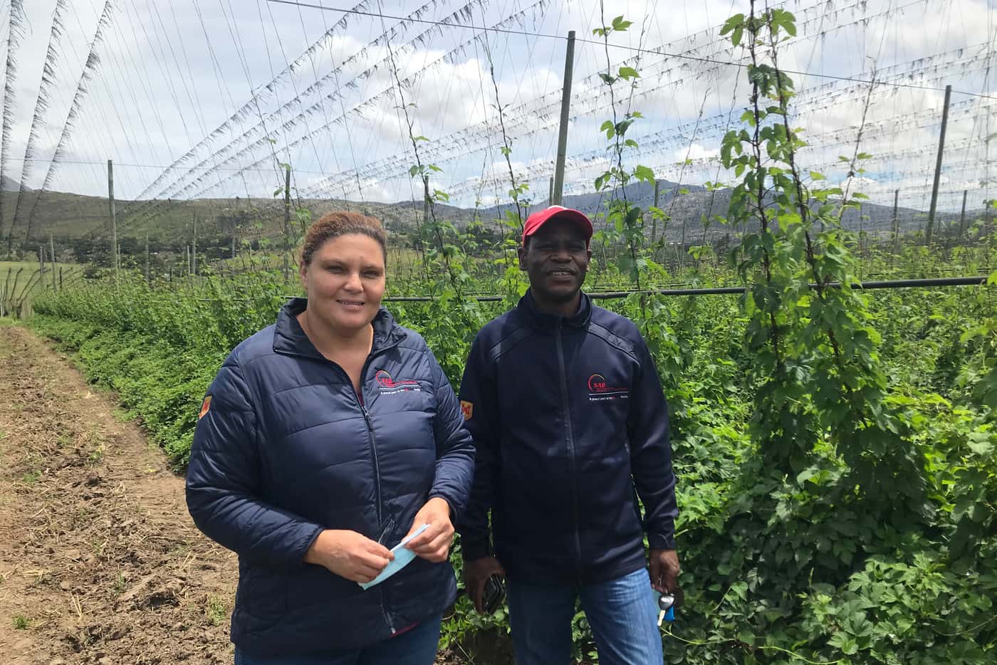 FABI researcher visits SAB hop farm