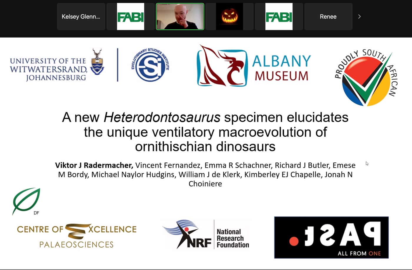 SASSB Webinar examines the ‘Dinosaurs of Darkness’