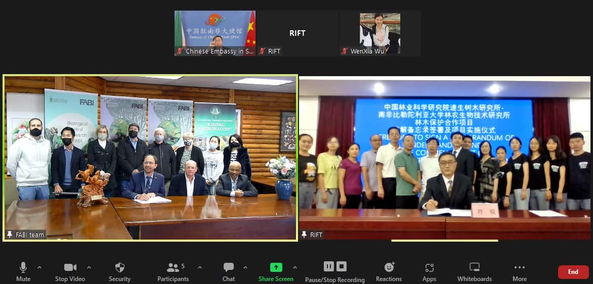 New MoU signed between FABI and Research Institute of Fast Growing Trees in China