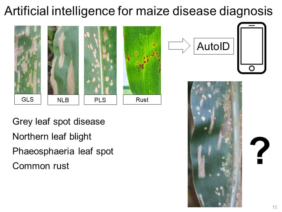 AI and crop health monitoring – getting the message to the public
