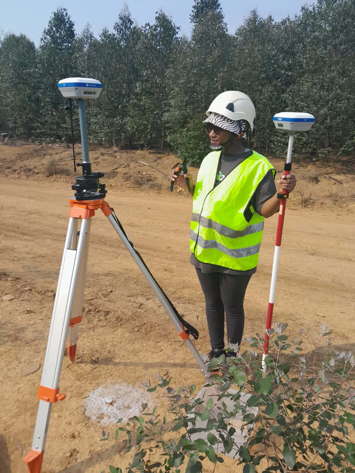 Unmanned Aerial Vehicles to track <i>Gonipterus</i> sp. n. 2 damage