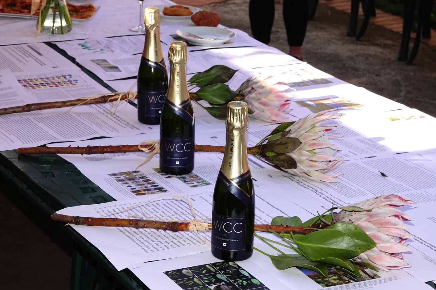First publications celebrated at the Publication Party
