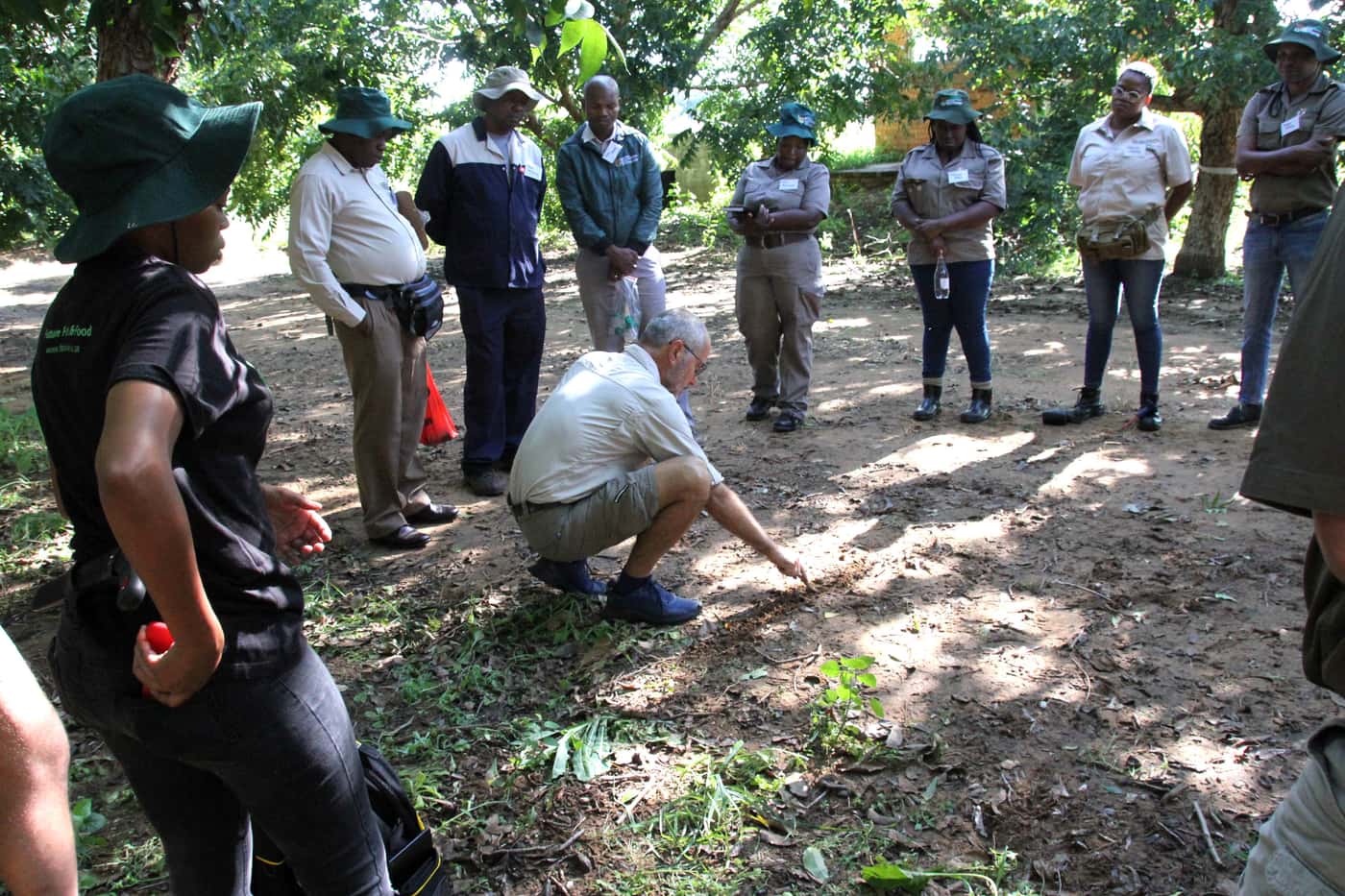 Monitoring PSHB infestations in Pecan nut orchards
