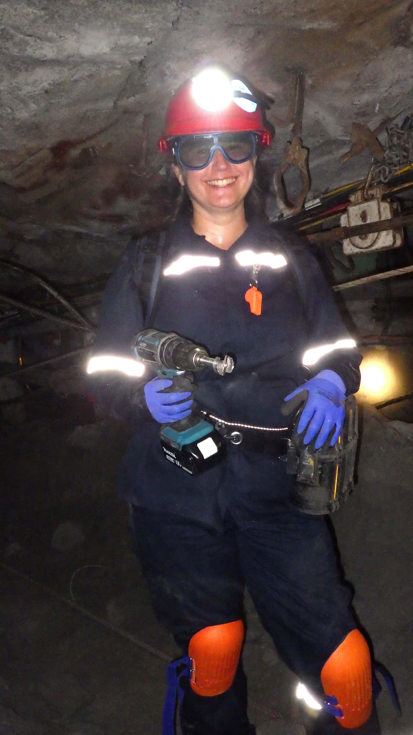 FABIans search for <i>Sporothrix</i> species associated with local mining operations