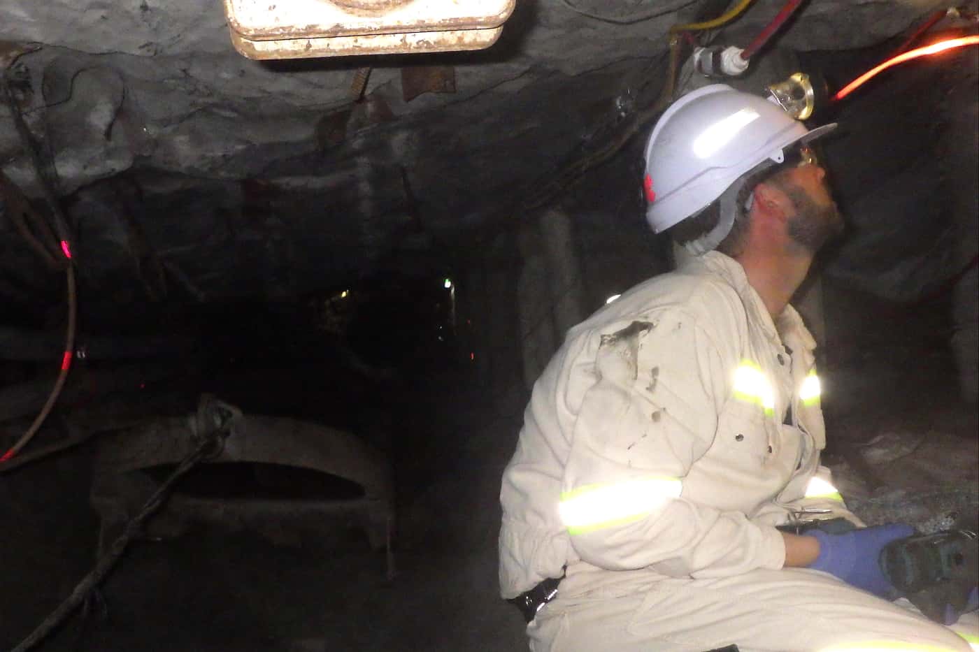FABIans search for <i>Sporothrix</i> species associated with local mining operations