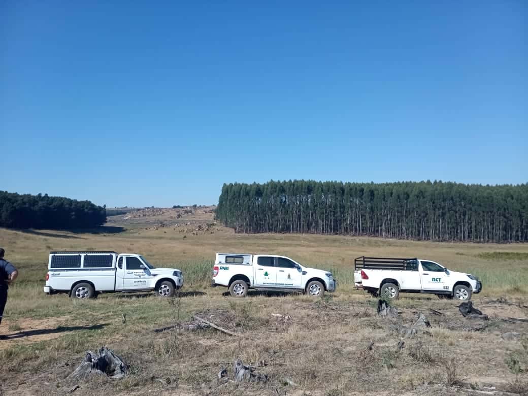 First steps to implement a National Forest Pest and Pathogen Surveillance strategy