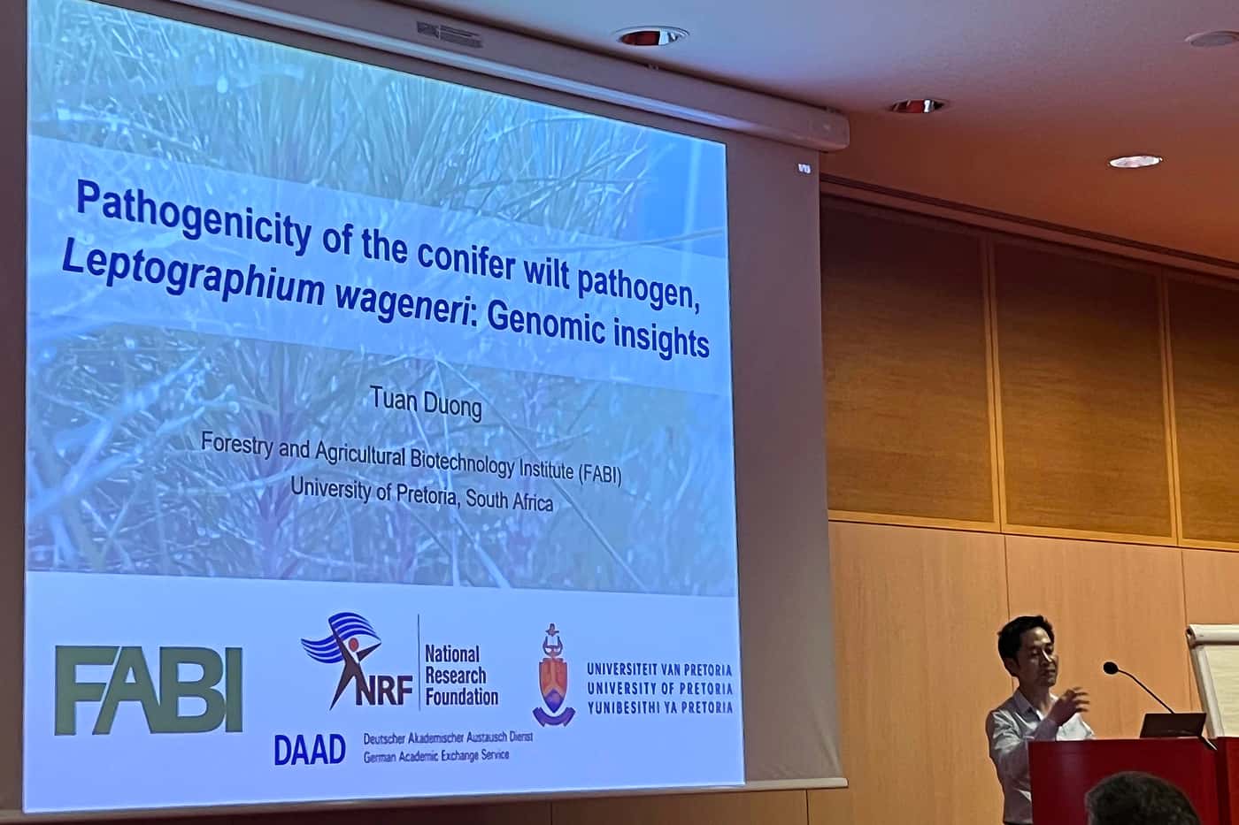 FABI’s tree health focus at the 2023 ICPP in Lyon, France