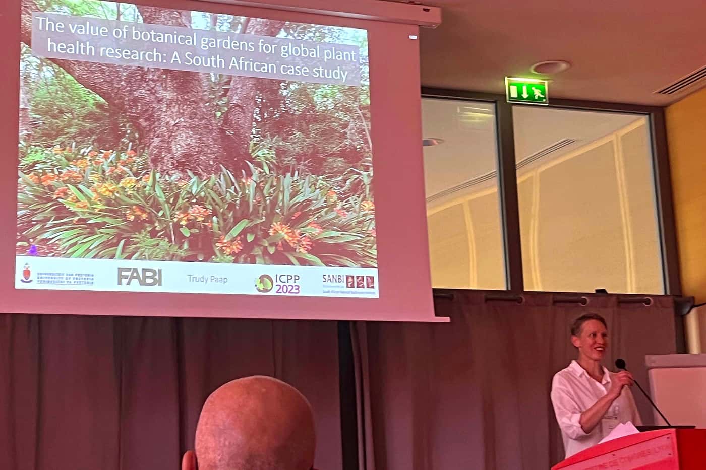 FABI’s tree health focus at the 2023 ICPP in Lyon, France
