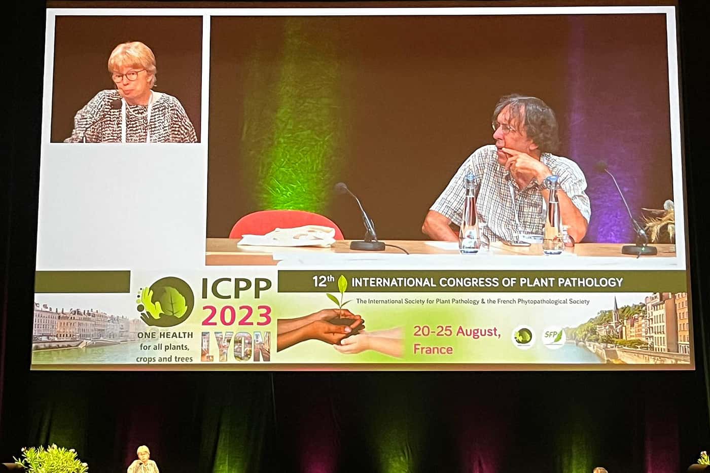 FABI’s tree health focus at the 2023 ICPP in Lyon, France
