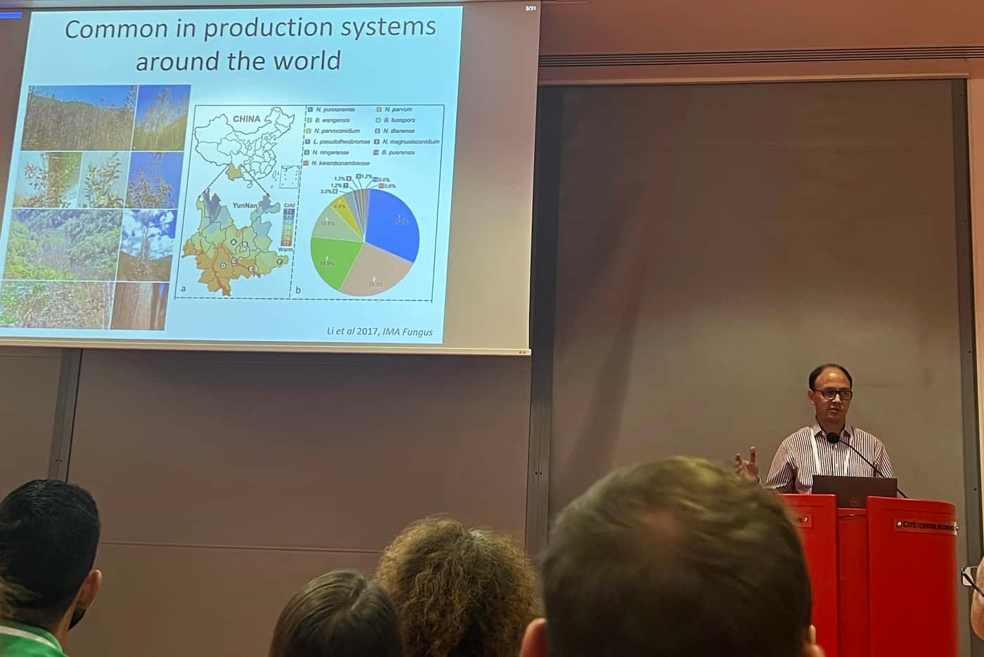 FABI’s tree health focus at the 2023 ICPP in Lyon, France
