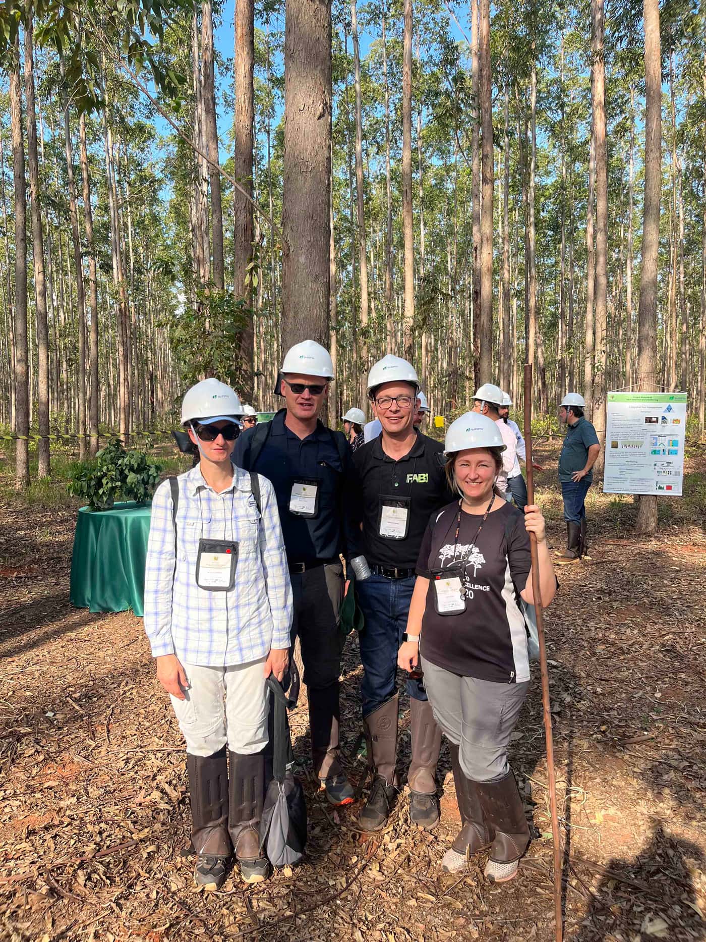 FABIans attend IUFRO Working Group meeting on Southern Hemisphere plantation health