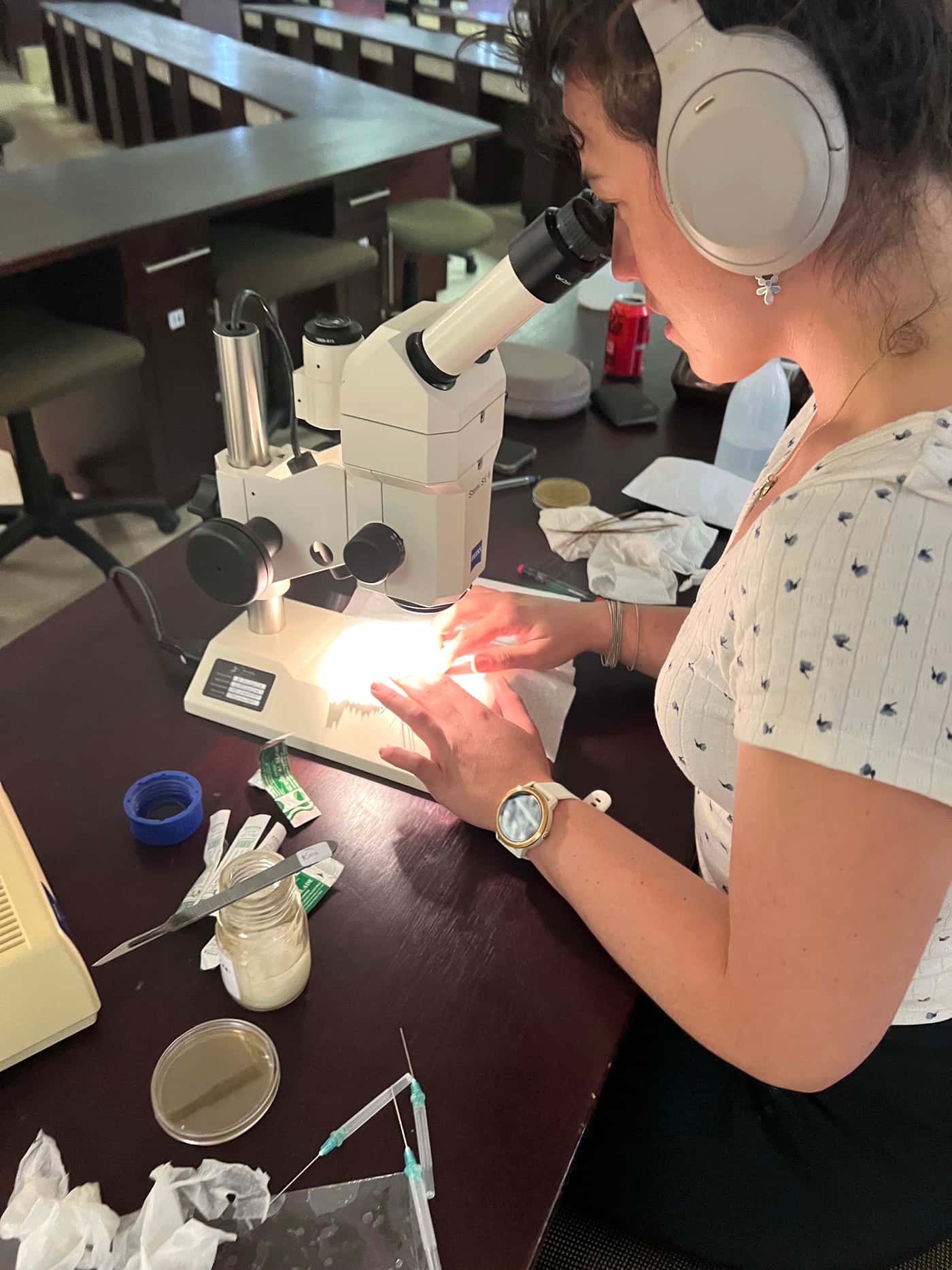 A fungal fiesta: Pine needle pathogen isolation jamboree