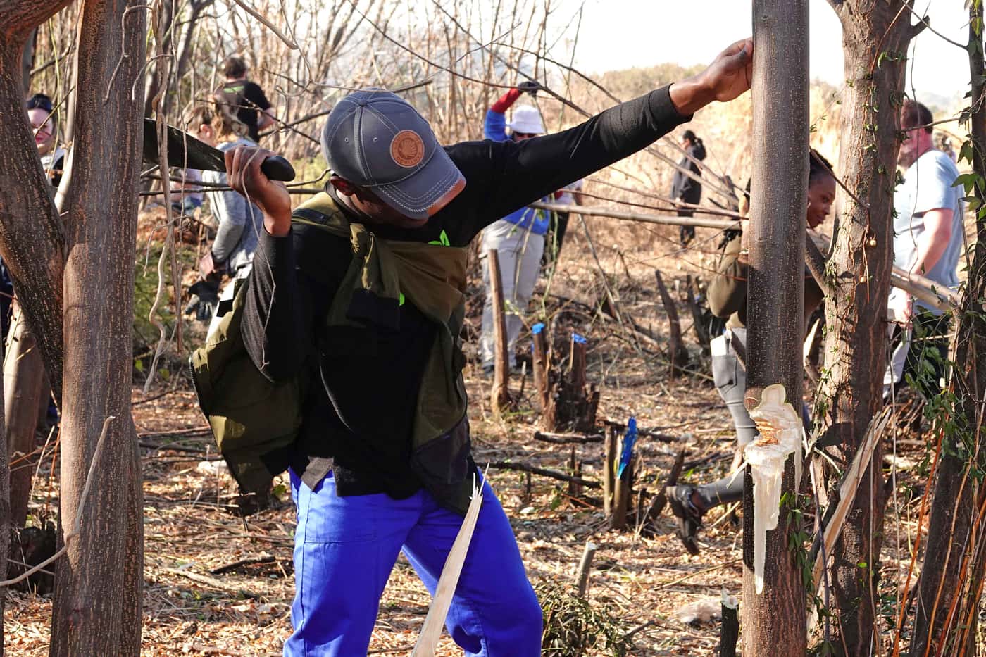 FABIans pitch in to clear invasive woody plants on Mandela Day