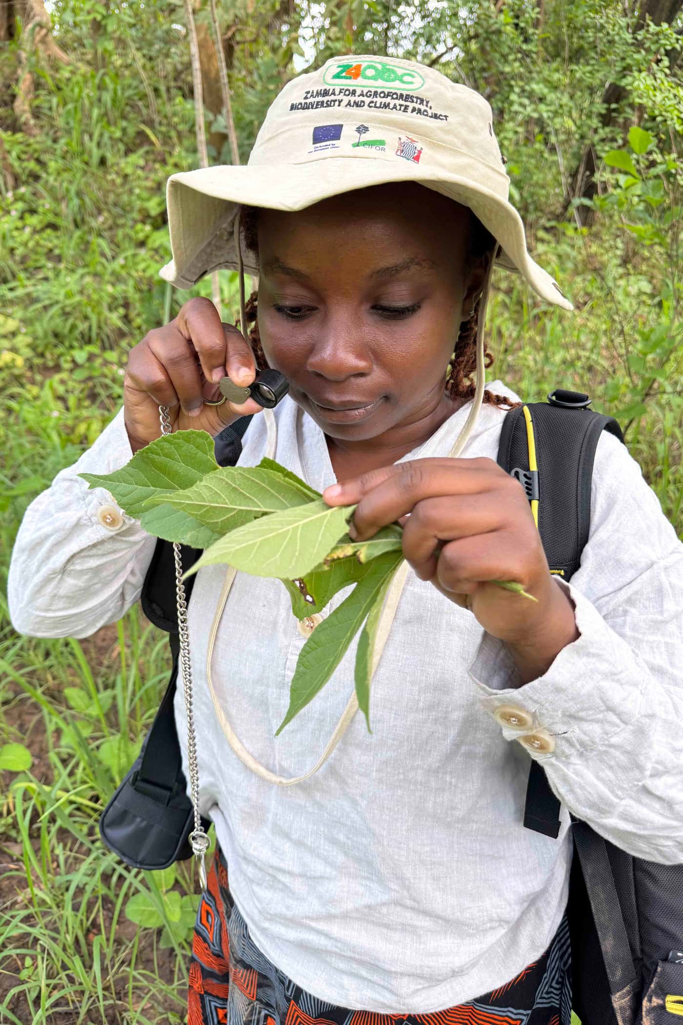 FABI exposed to fabulous fungi of northern Zambia
