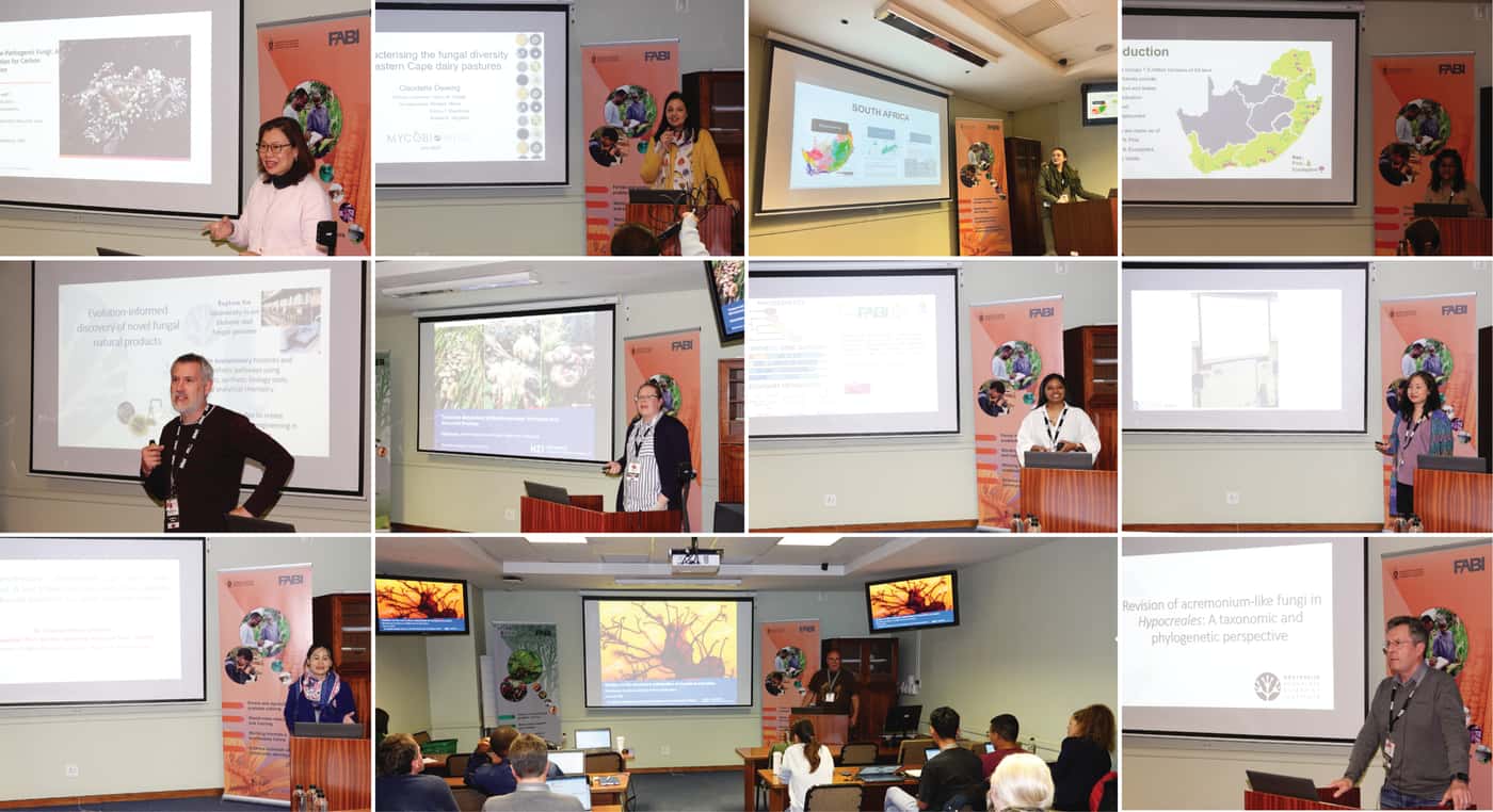 FABI hosts  an international Mycobiomics meeting highlighting global advances in fungal research