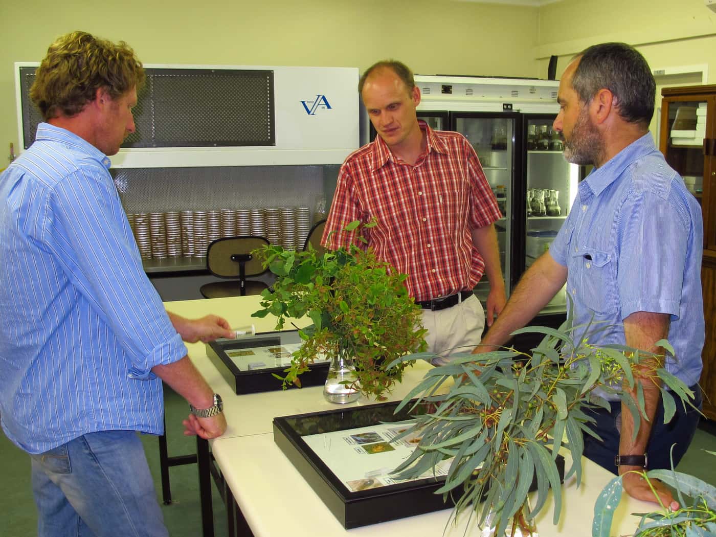 Soil Biology Expert from China visits FABI