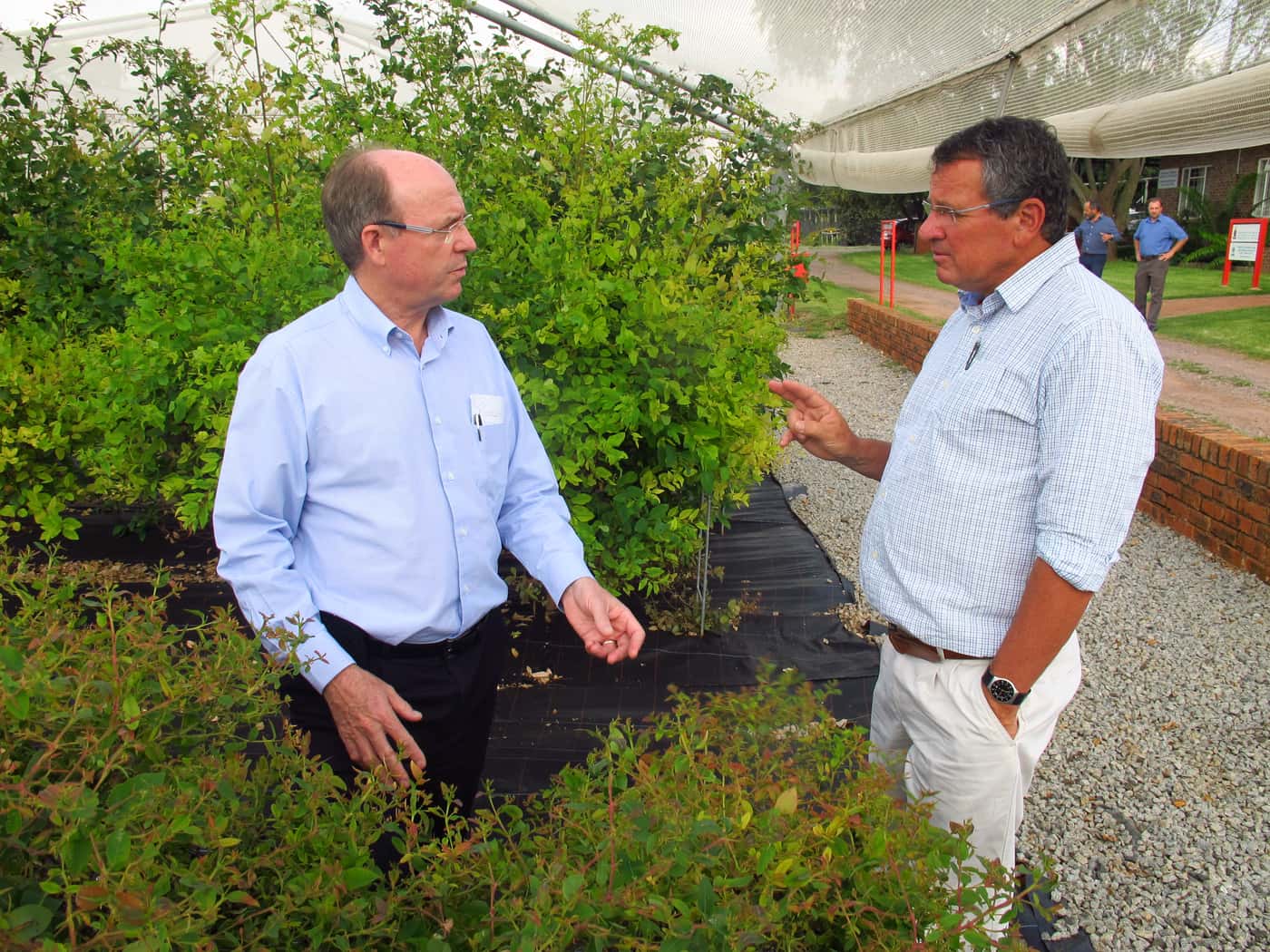 York Timbers CEO Visits FABI