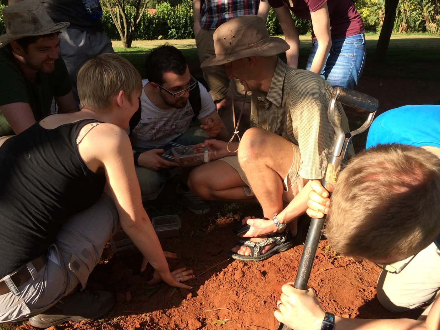 International research team on termite ecology and evolution visits FABI