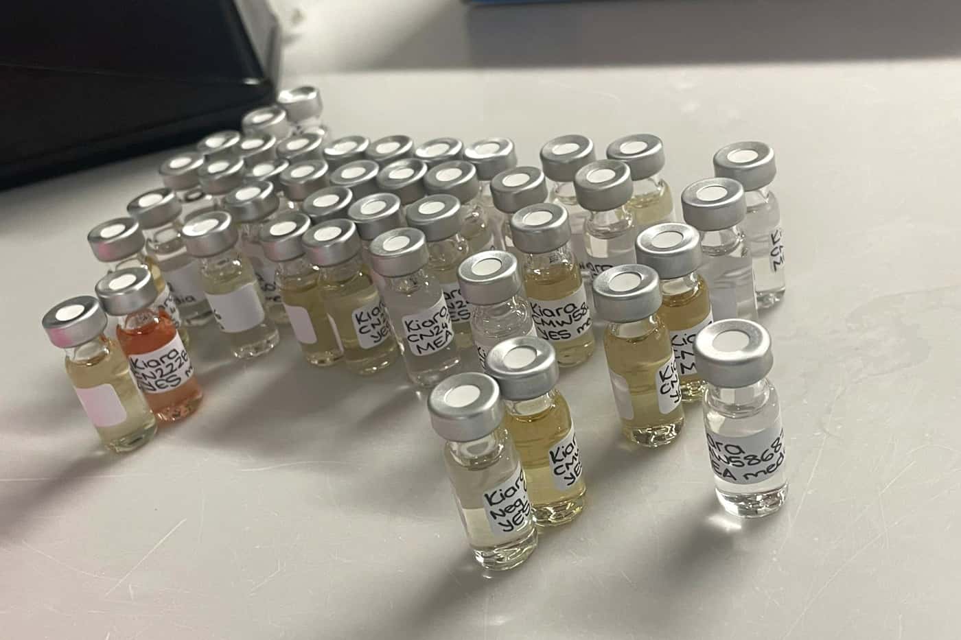 FABI Researchers strengthen Mycobiomics collaborations in Austria and Germany