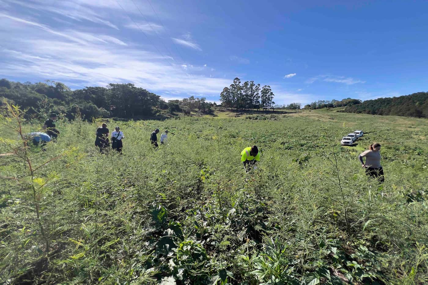 TPCP field extension and diagnostic clinic trip visits the Eastern Cape