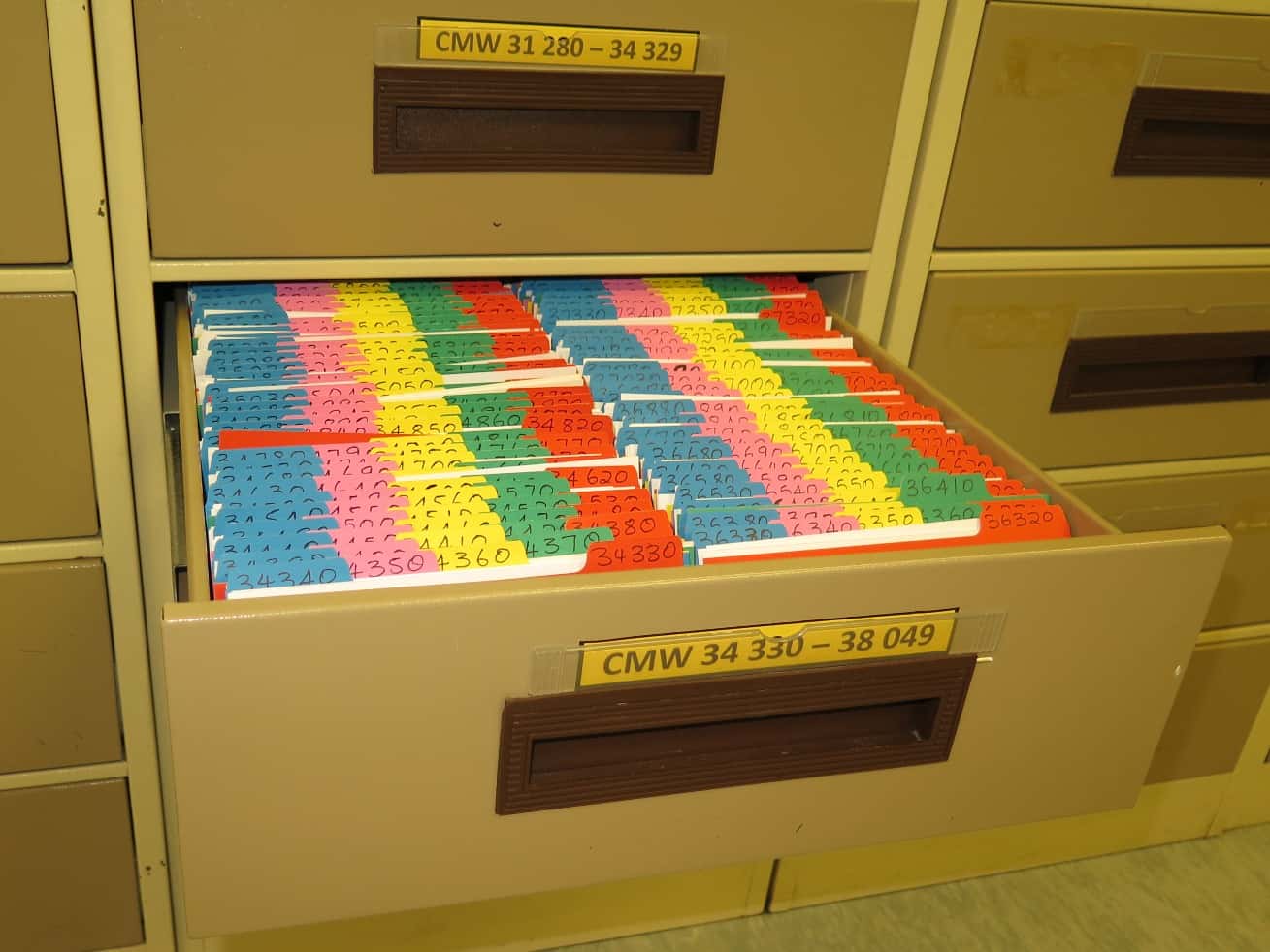 A busy year for the CMW Culture Collection