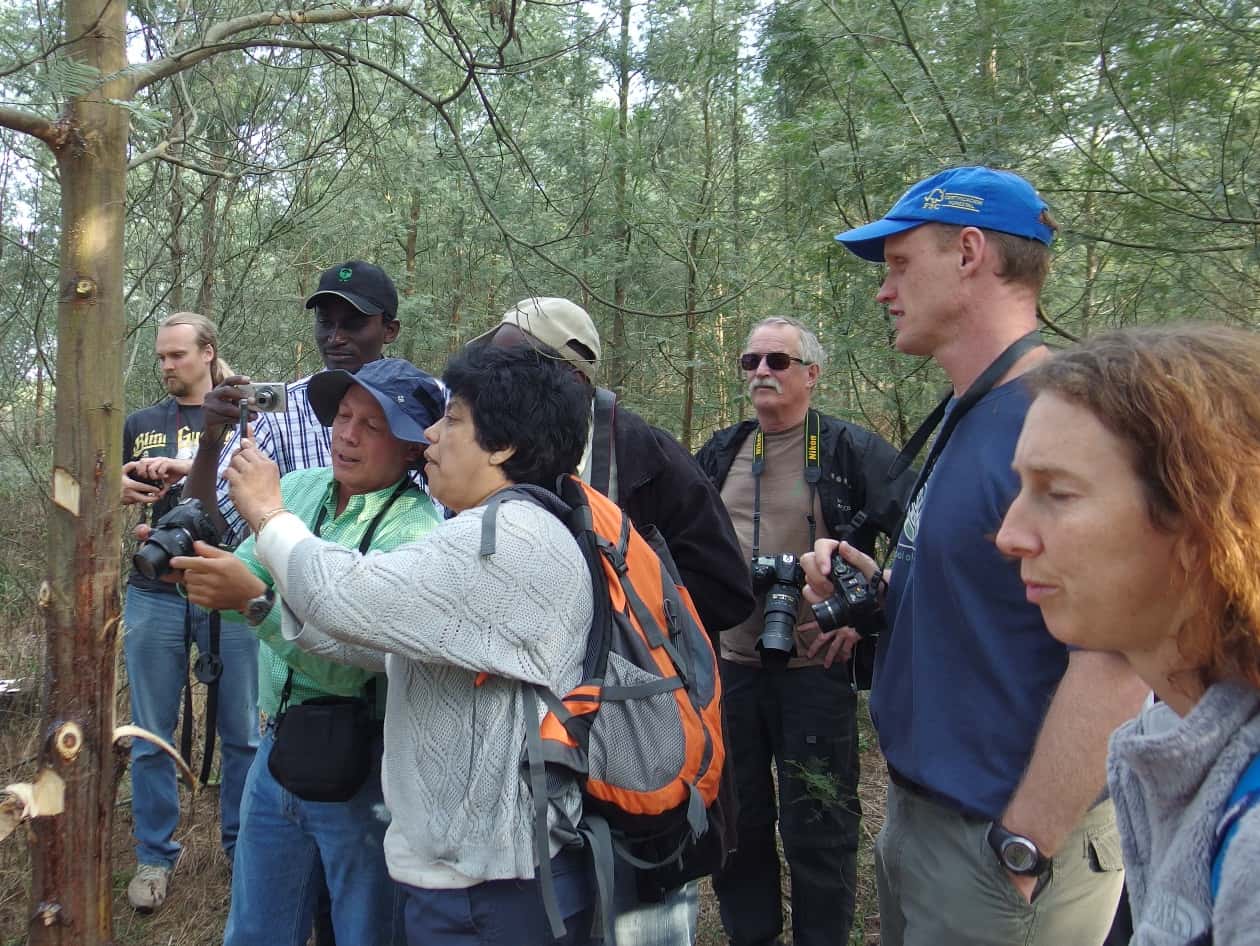 International guests of the TPCP visit local forestry companies and research institutions