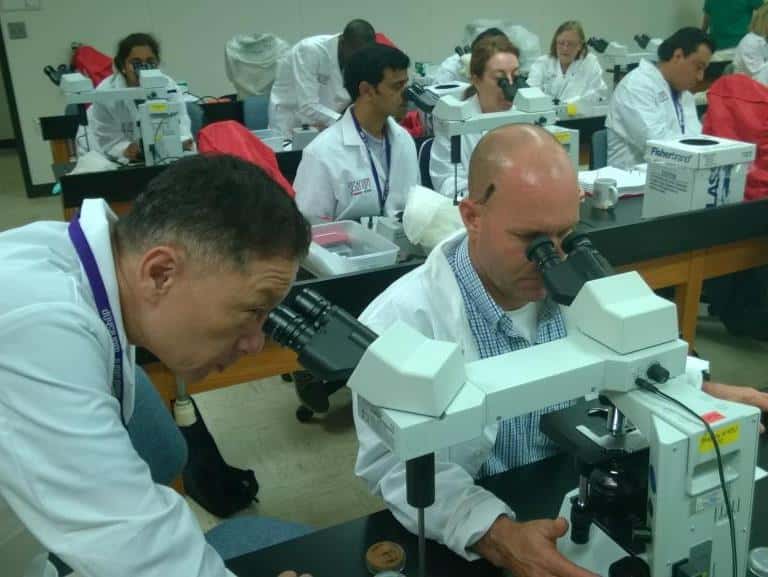 FABIans Attend the 16th Annual <i>Fusarium</i> Laboratory Workshop in Kansas