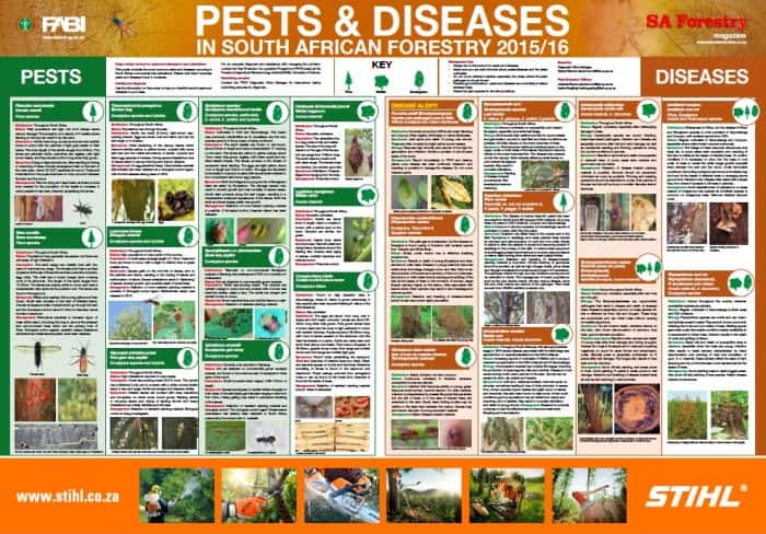 2015 poster on South African forestry pests and diseases released