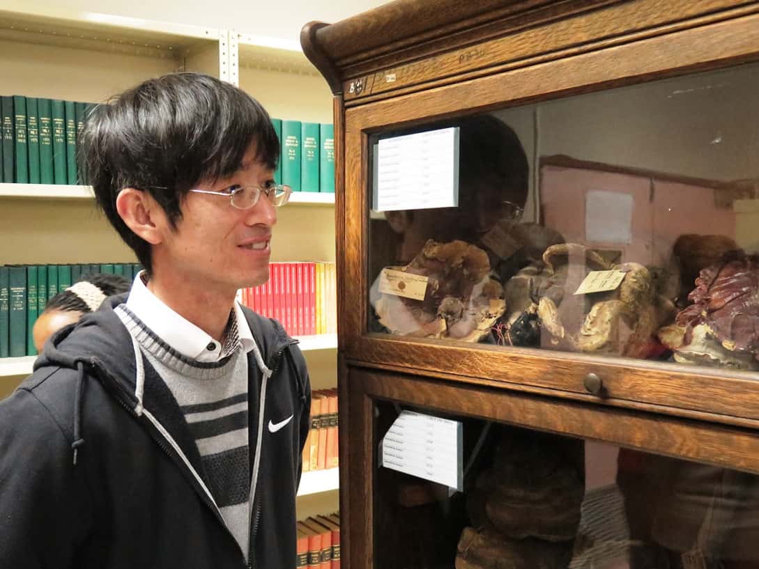FABI joins 110th anniversary of the SA National Collection of Fungi